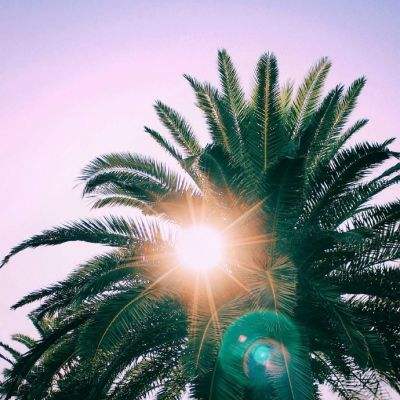 澳门黄金网站免费打开