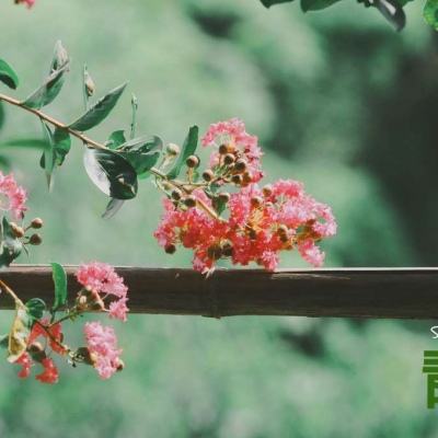 宝威体育手机app下载